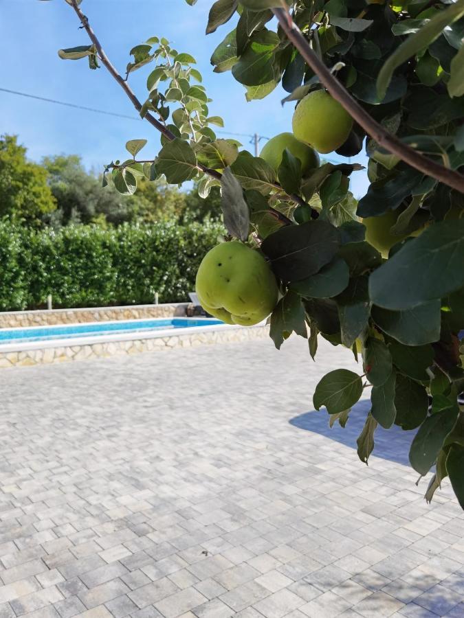 Sveti Vid-Miholjice Apartments Beciri מראה חיצוני תמונה